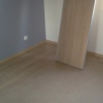 Le parquet, plinthes et une porte de placard