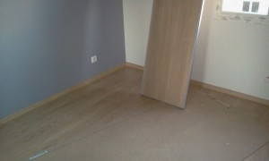 Le parquet, plinthes et une porte de placard